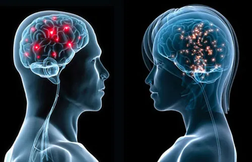 "Bản đồ" tình dục trên não nữ giới