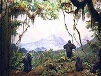 Vườn ươm cho bảo tàng lịch sử tự nhiên đầu tiên của Việt Nam