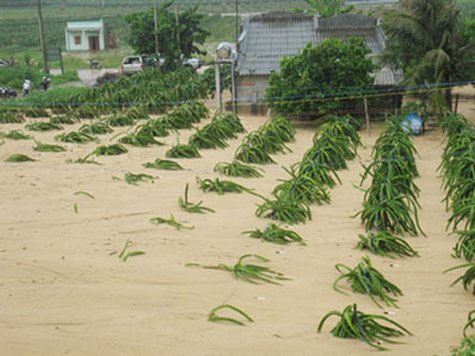 Bình Thuận: Cát thải từ mỏ tràn vào nhà dân