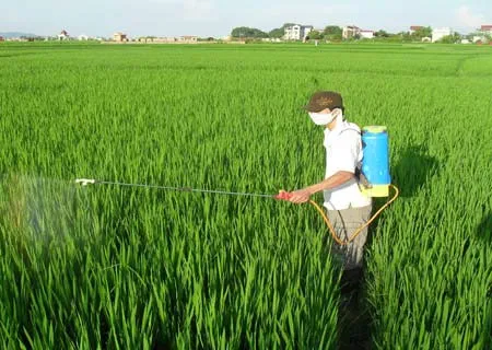 Lạm dụng thuốc trừ sâu gây phát thải khí nhà kính