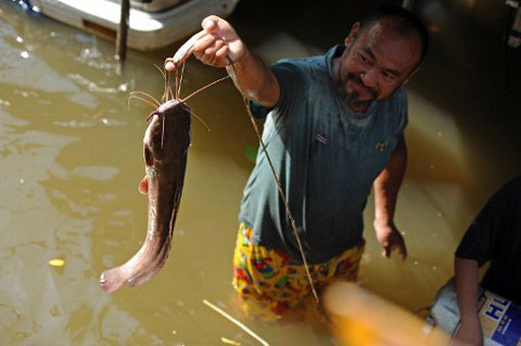 Trung tâm Bangkok có thể ngập tới 1,5m