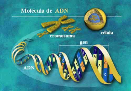 Phương pháp thử nghiệm ADN mới của Canada