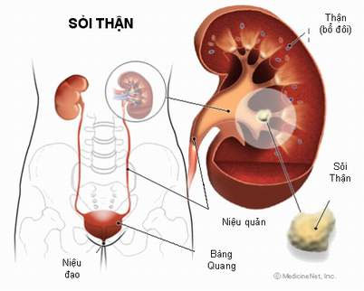 Phương pháp mới chẩn đoán bệnh cầu thận màng