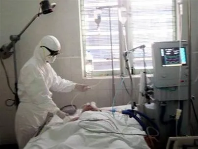 Hội thảo về H5N1 qua cầu truyền hình