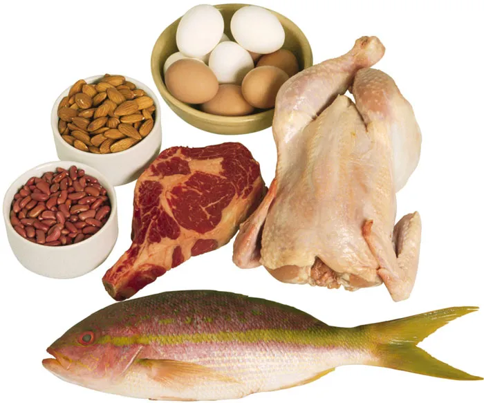 Protein có khả năng đốt cháy mỡ trong cơ thể