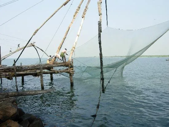 Việt-Hàn bàn kinh nghiệm quản lý, phát triển biển