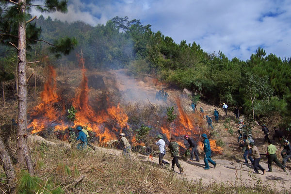 Năm nước tiểu vùng Mekong chống ô nhiễm khói mù