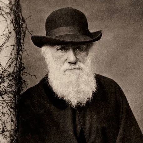 Sáng tỏ nghi án Darwin “đạo” ý tưởng