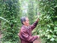 Chuyện của một “Tiến sĩ nông dân”