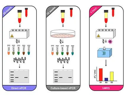 Phát hiện "bách bệnh" với công nghệ nano