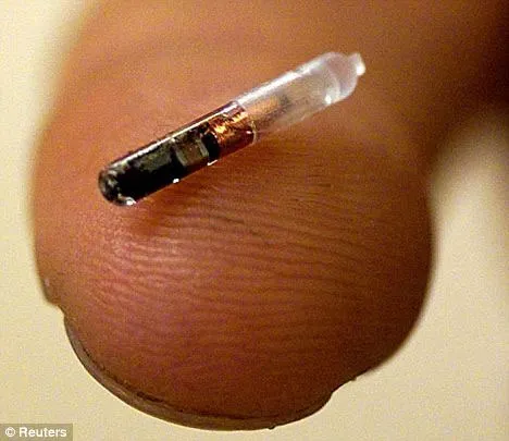 Gắn chip cho chó quy mô toàn quốc