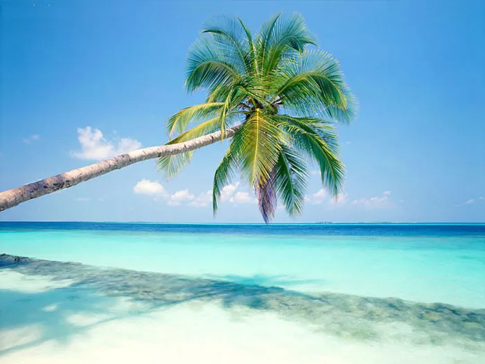 Vùng Caribe cần giải pháp chống biến đổi khí hậu