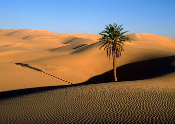 Phát hiện nguồn nước ngầm lớn gần sa mạc Sahara