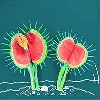 Những loài cây ăn thịt điển hình