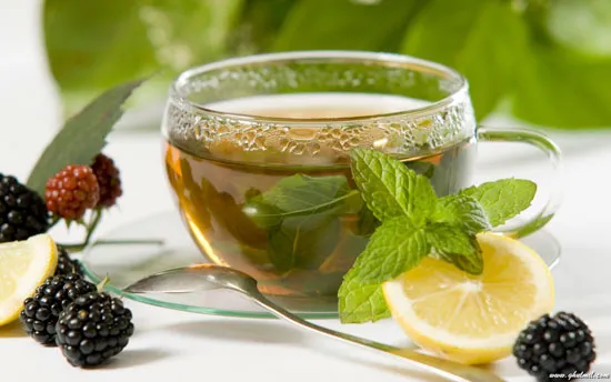 Lá trà và những bí mật ít được nhắc đến