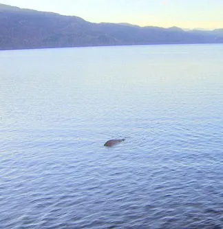 Đã tìm thấy quái vật hồ Loch Ness