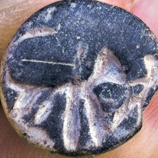 Chứng cứ về truyền thuyết Samson