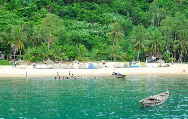 Giải thưởng bảo vệ động vật hoang dã