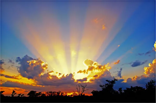Vitamin D giúp bệnh nhân lao hồi phục nhanh hơn