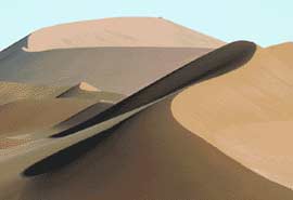 Bí ẩn về nguồn gốc rừng rậm Sahara