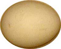 Đại bàng đầu trọc đẻ trứng