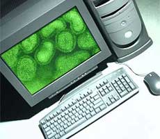 Virus máy tính: 20 năm nhìn lại