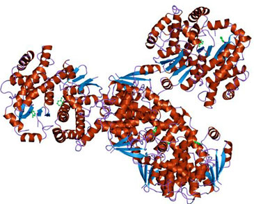 Giải mã được trình tự gene của ung thư tuyến tụy