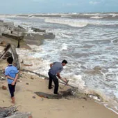 Hơn 30km bờ biển ở Thừa Thiên-Huế bị sạt lở nặng