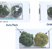 Giấy giữ thực phẩm tươi nguyên trong nhiều tháng