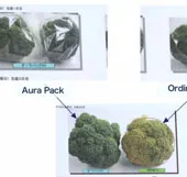 Giấy giữ thực phẩm tươi nguyên trong nhiều tháng