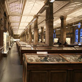 Xác định một loài mới kéo dài hàng chục năm