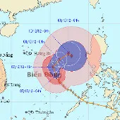 Bão Bopha tiến vào Việt Nam như thế nào?