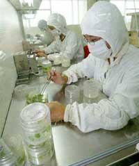 Nhật và Trung Quốc tăng đầu tư cho khoa học