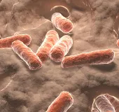 Chất carotenoid trong ruột liên quan đến đột quỵ