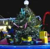 25.000 ký sinh trùng "trú Đông" trên mỗi cây thông Noel