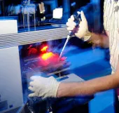 Liệu kiểu gene có quyết định ai đó sẽ trở thành một kẻ sát nhân?
