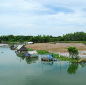 Bảo vệ các loài cá quý hiếm tại búng Bình Thiên