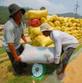 Lần đầu tiên công bố danh mục sản phẩm quốc gia