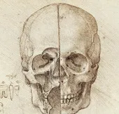 Sổ tay ghi nhớ của Leonardo Da Vinci