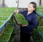 Trao đổi kinh nghiệm công nghệ sinh học Đức-Việt