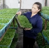 Trao đổi kinh nghiệm công nghệ sinh học Đức-Việt