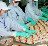 Khởi động Vườn ươm công nghệ Hàn Quốc ở ĐBSCL