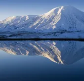 Phát hiện bộ xương thủy quái ở Siberia