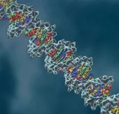 Can thiệp liệu pháp gene có thể chữa điếc bẩm sinh