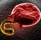 Cách mới tiêu diệt ký sinh trùng sốt rét