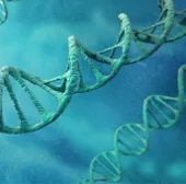 Không thể xác định tổ tiên bằng kiểm tra ADN