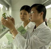 Cần sớm khởi động ứng dụng với cây trồng sinh học