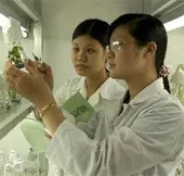 Cần sớm khởi động ứng dụng với cây trồng sinh học