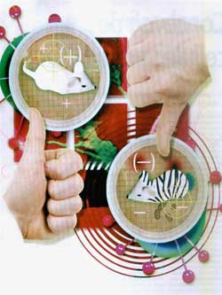 Sinh học tổng hợp: Cướp quyền tạo hóa