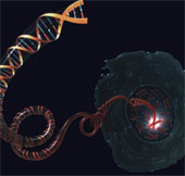 Dự đoán tuổi thọ người mắc bệnh tim qua chiều dài DNA